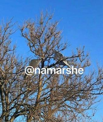 Прикрепленное изображение: wC-yWRa0jvE.jpg